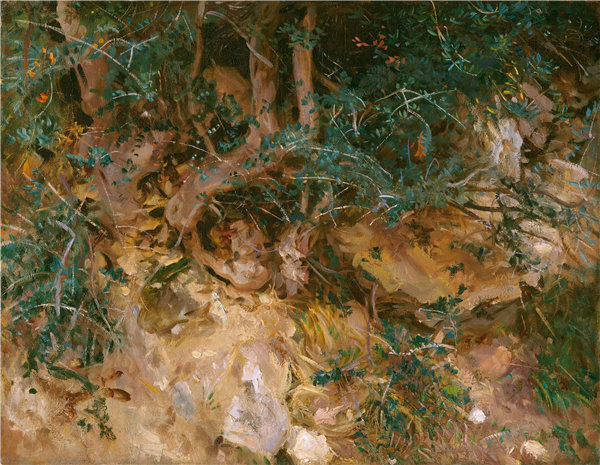 约翰·辛格·萨金特（John Singer Sargent）-山坡上的蓟和草 1908年油画