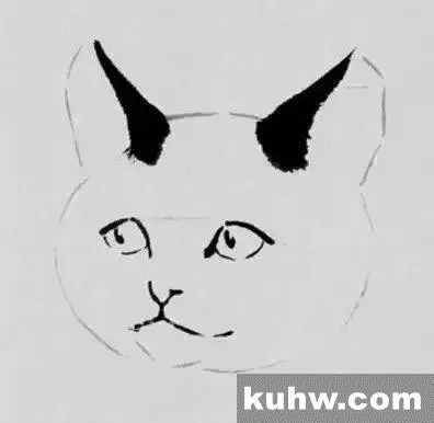猫的写意画法