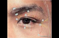 头部五官素描画法示范