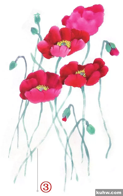 图文教程：鹤望兰、君子兰、虞美人写意画法