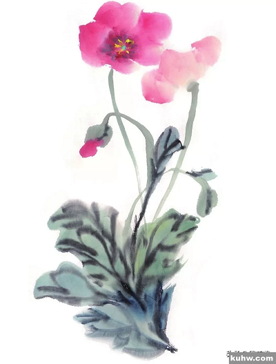 图文教程：鹤望兰、君子兰、虞美人写意画法