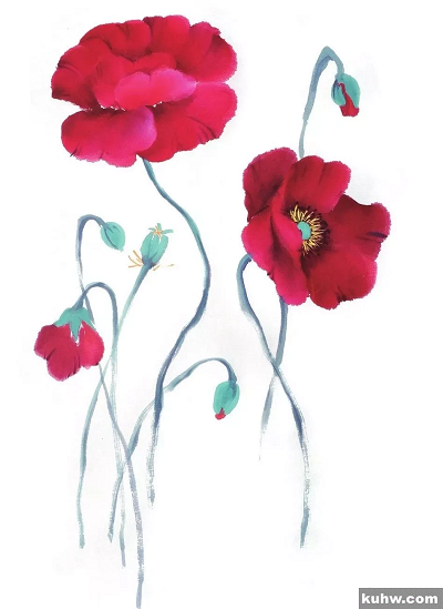 图文教程：鹤望兰、君子兰、虞美人写意画法