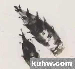 图文教程 | 春笋的写意画法,值得一看