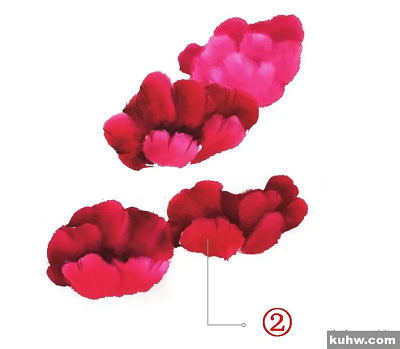 图文教程：鹤望兰、君子兰、虞美人写意画法