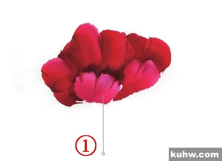 图文教程：鹤望兰、君子兰、虞美人写意画法