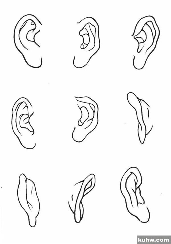 技法 | 工笔人物入门 脸部五官的白描画法