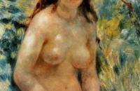 奥古斯特雷诺阿作品《阳光下的裸女》