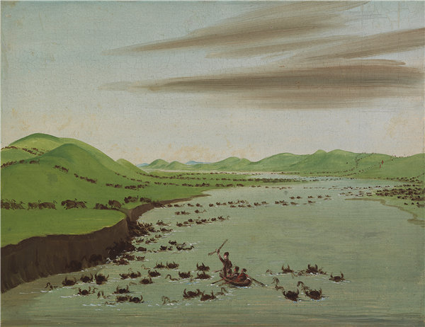 乔治·卡特林（George Catlin），《布法罗牧群穿越密苏里州上层》， 1832年油画