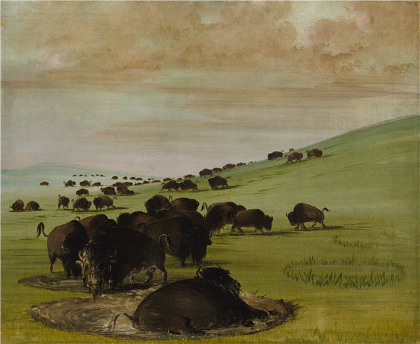 乔治·卡特琳(George Catlin),《水牛城的水牛城》, 1837-1839年油画