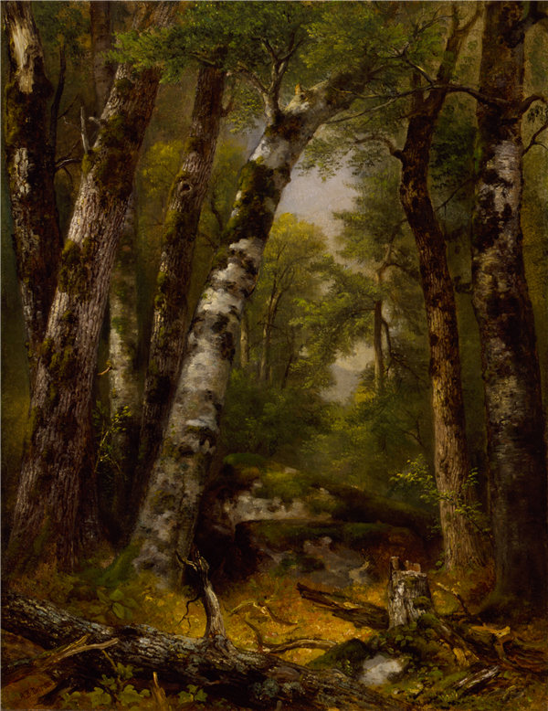 阿舍·布朗·杜兰德（Asher B.Durand）-林地格伦 1850-1855年油画高清作品