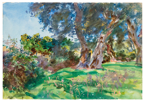 约翰·辛格·萨金特(John Singer Sargent)-橄榄树,科孚岛,1909年作品