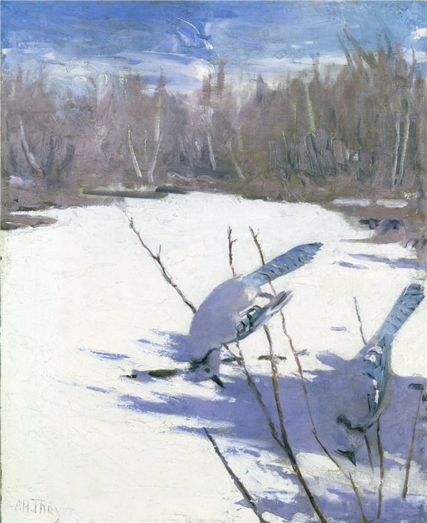 雅培·汉德森·塞耶（Abbott Handerson Thayer）-《冬季蓝鸟》 1905-1909年油画