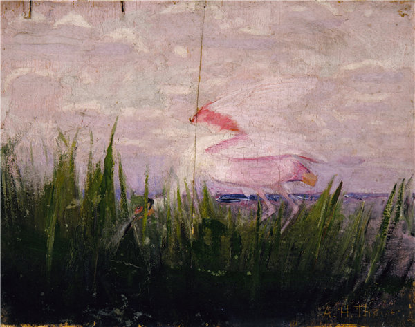 雅培·汉德森·塞耶（Abbott Handerson Thayer），《琵鹭》，为《在动物界隐瞒着色》一书而作。1905-1909年油画