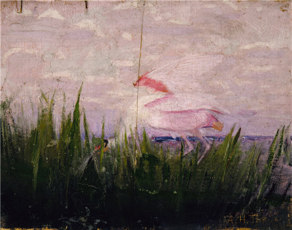 雅培·汉德森·塞耶(Abbott Handerson Thayer),《琵鹭》,为《在动物界隐瞒着色》一书而作。1905-1909年油画