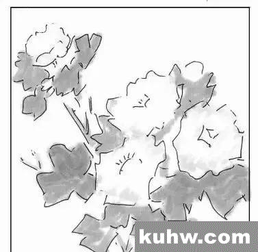 图文教程:写意牡丹的章法