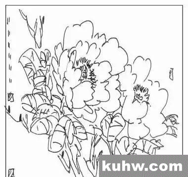 图文教程:写意牡丹的章法