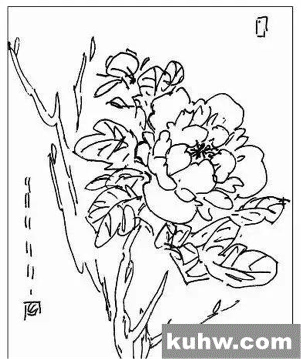图文教程:写意牡丹的章法