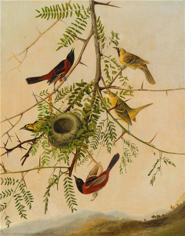 约瑟夫·巴塞洛缪·基德（Joseph Bartholomew Kidd）-果园黄莺 1830年油画