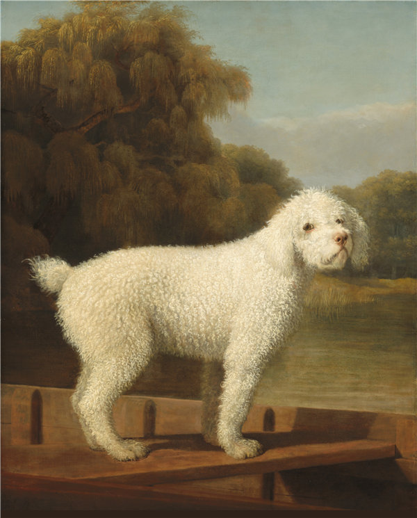 英国画家乔治·斯塔布斯（George Stubbs）-在平底锅里的白贵宾犬 1780年油画