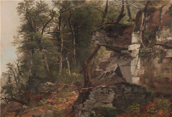 阿舍·布朗·杜兰德（Asher Brown Durand）-岩石山坡上的树木，1849年油画