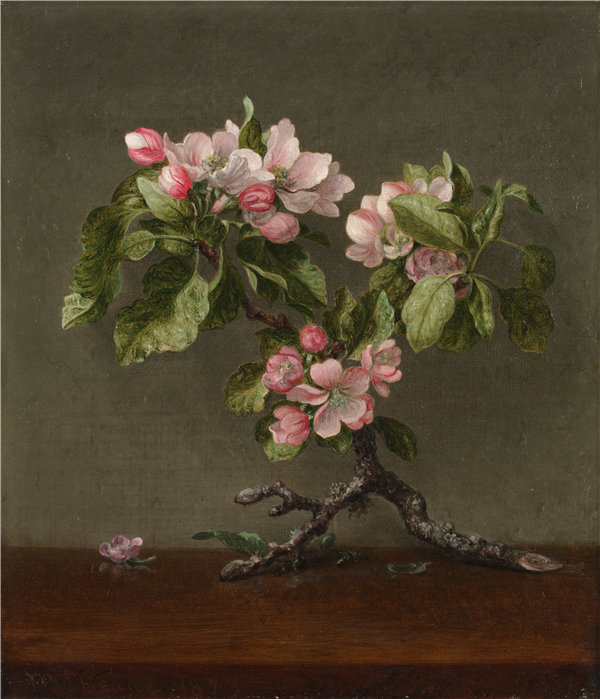 马丁·约翰逊·海德（Martin Johnson Heade）-苹果花 1873年油画