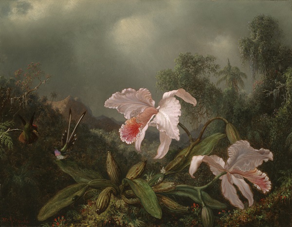 马丁·约翰逊·海德（Martin Johnson Heade）-丛林兰花和蜂鸟油画