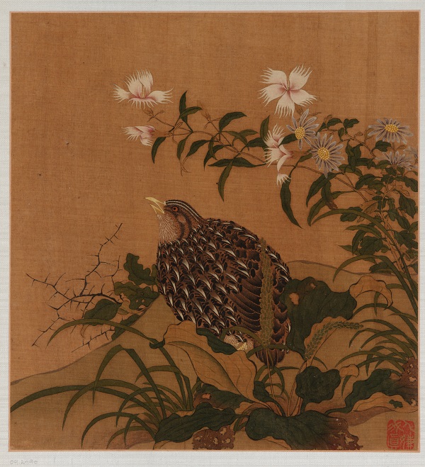 宋代画家赵伯驹-《鹌鹑和花》