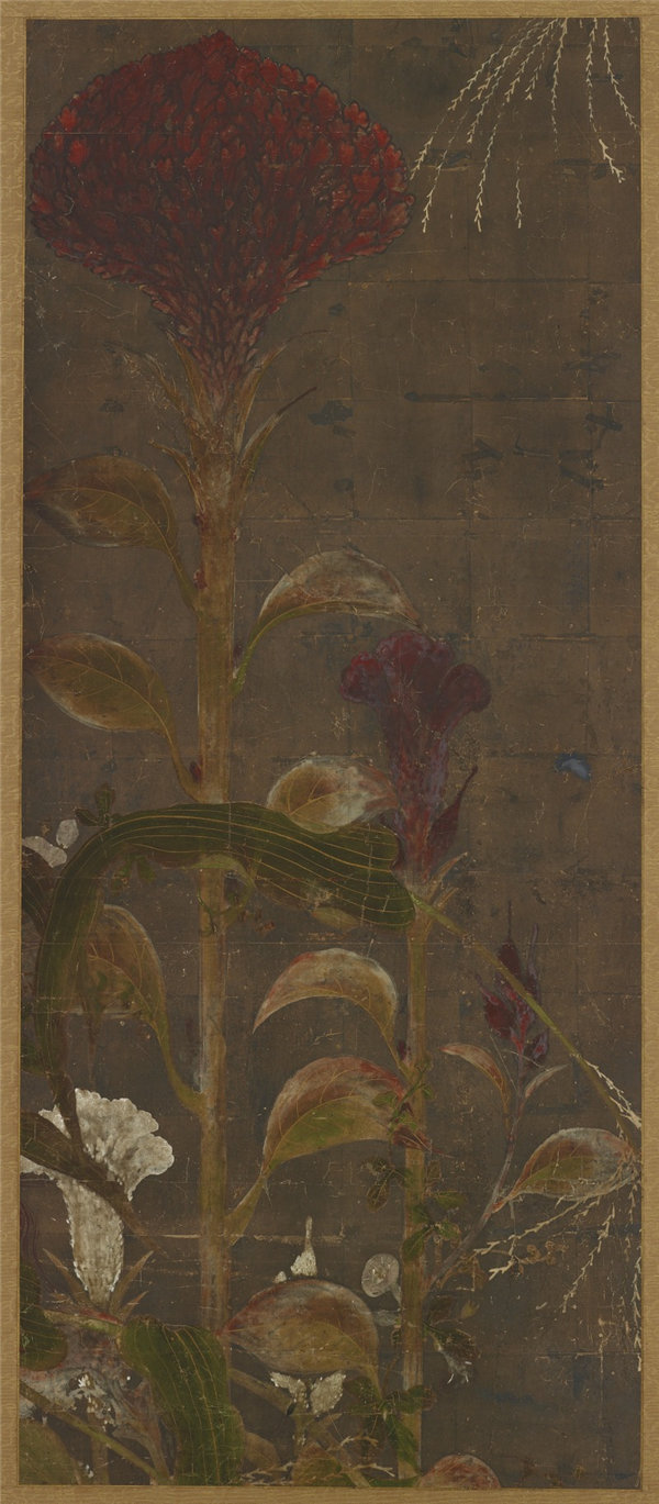 松木文雄（1867-1940）-鸡冠、玉米和牵牛花绘画作品