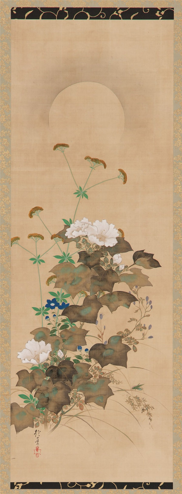 酒井抱一 (1761-1828)-月秋植物绘画作品