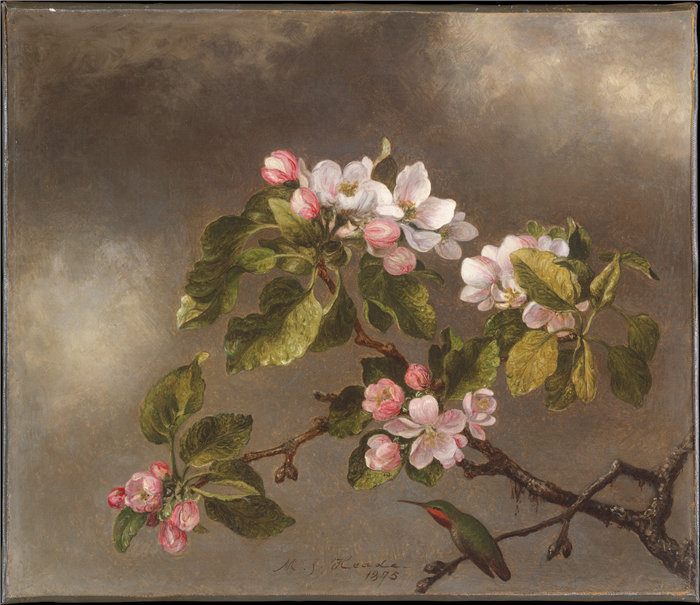 马丁·约翰逊·海德（Martin Johnson Heade）-蜂鸟和苹果花油画