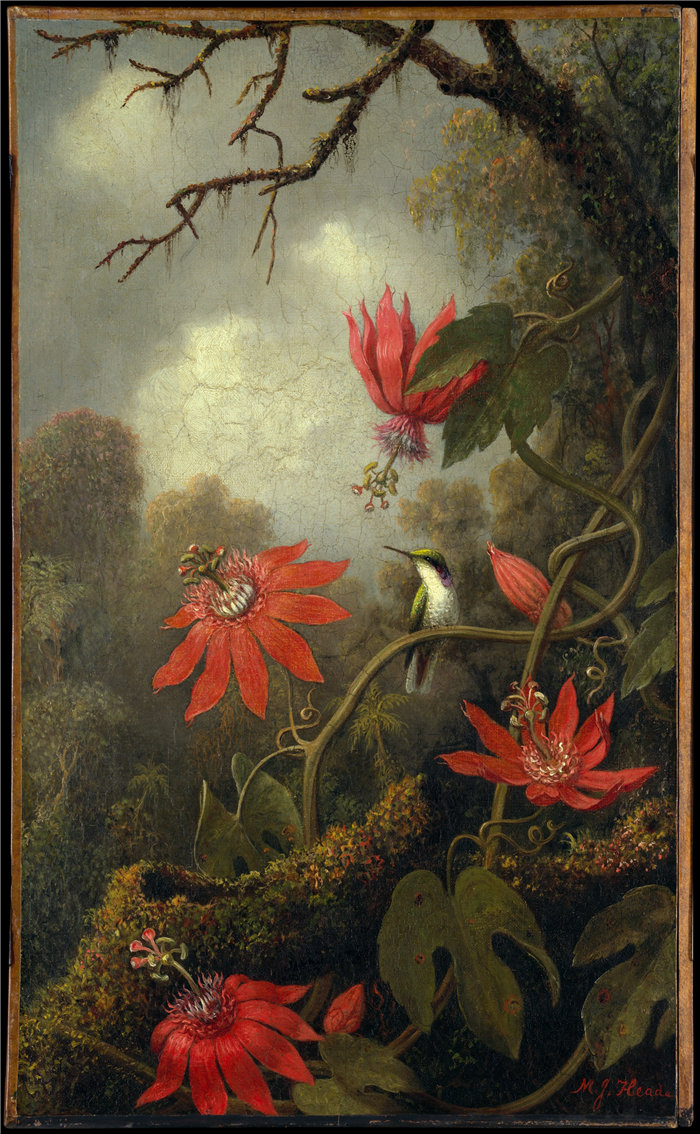 马丁·约翰逊·海德（Martin Johnson Heade）-蜂鸟和西番莲油画