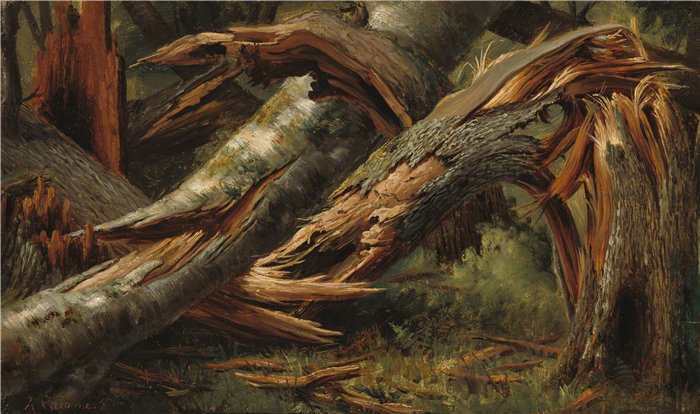 亚历山大·卡拉姆（Alexandre Calame）-倒下的树 1839作品 瑞士