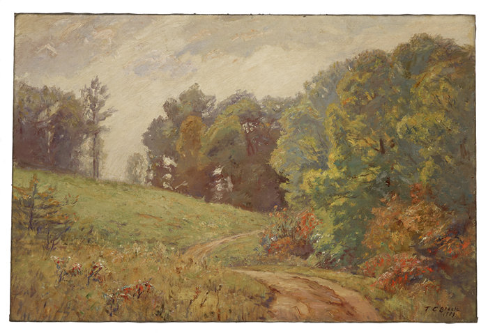 西奥多·克莱门特·斯蒂尔（Theodore Clement Steele，美国，1847-1926 年）-印第安纳景观油画
