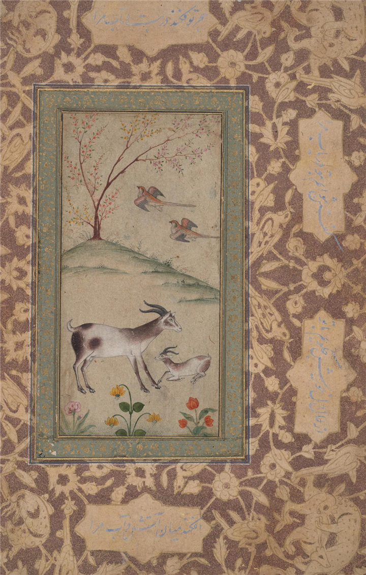 伊朗水彩-年轻的羚羊，18世纪作品