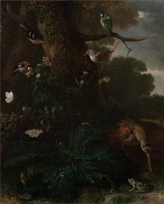 Melchior d'Hondecoeter,荷兰人,1636–1695 年-森林的动植物