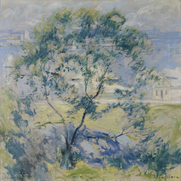 约翰·亨利·特瓦克曼（John Henry Twachtman）-野樱桃树，1900年 美国油画