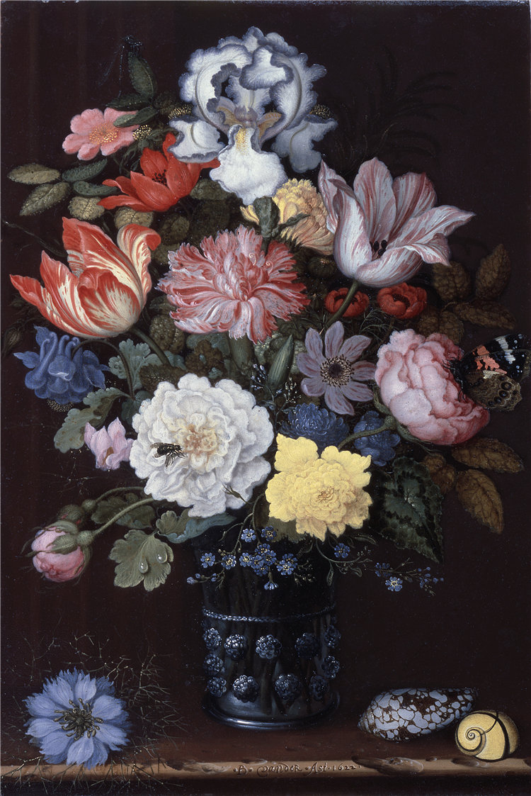 巴尔萨泽·凡·德·阿斯特(Balthasar van der Ast),荷兰人,1593–1657-带贝壳的花卉静物油画