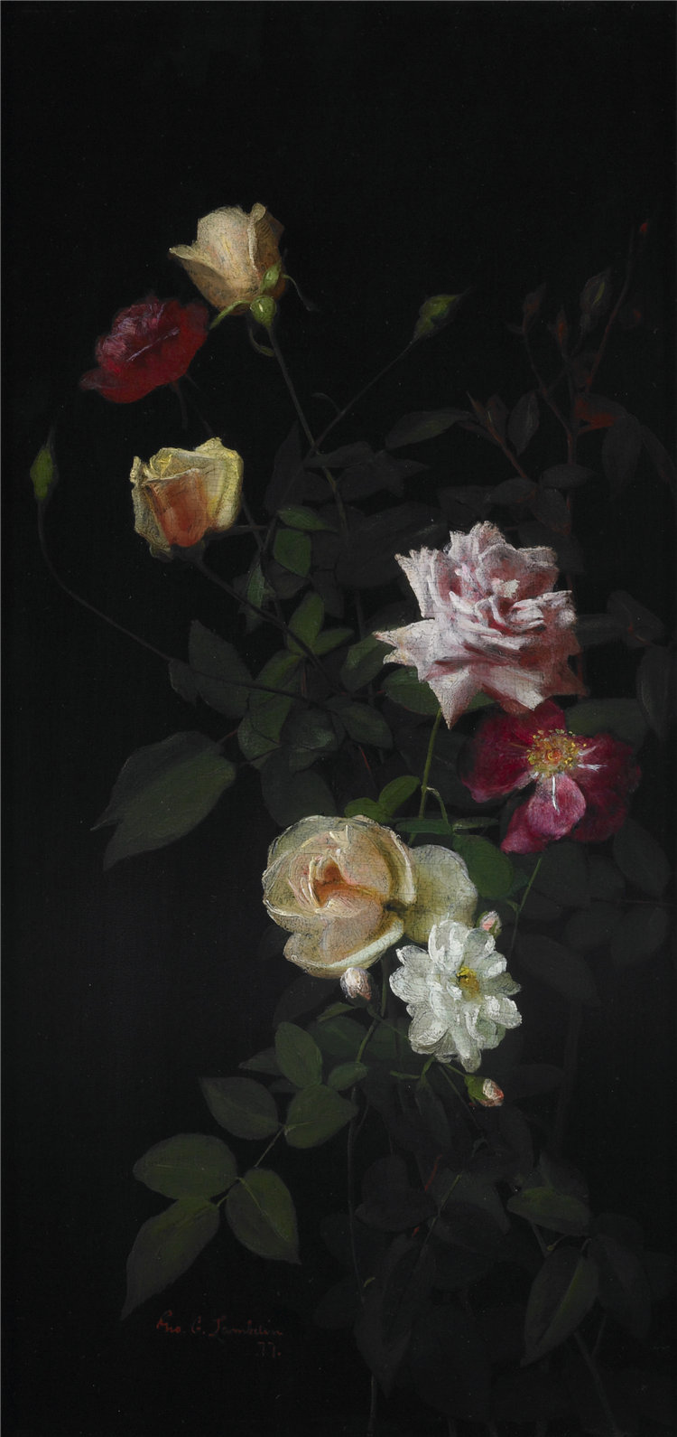 乔治·科克伦·兰布丁(George Cochran Lambdin),美国人,1830–1896 年-静物油画