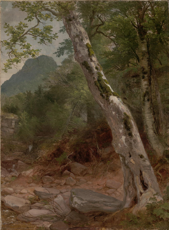 阿舍·布朗·杜兰德(Asher Brown Durand)，美国人，1796–1886 年-梧桐树，Plaaterkill 丁香油画