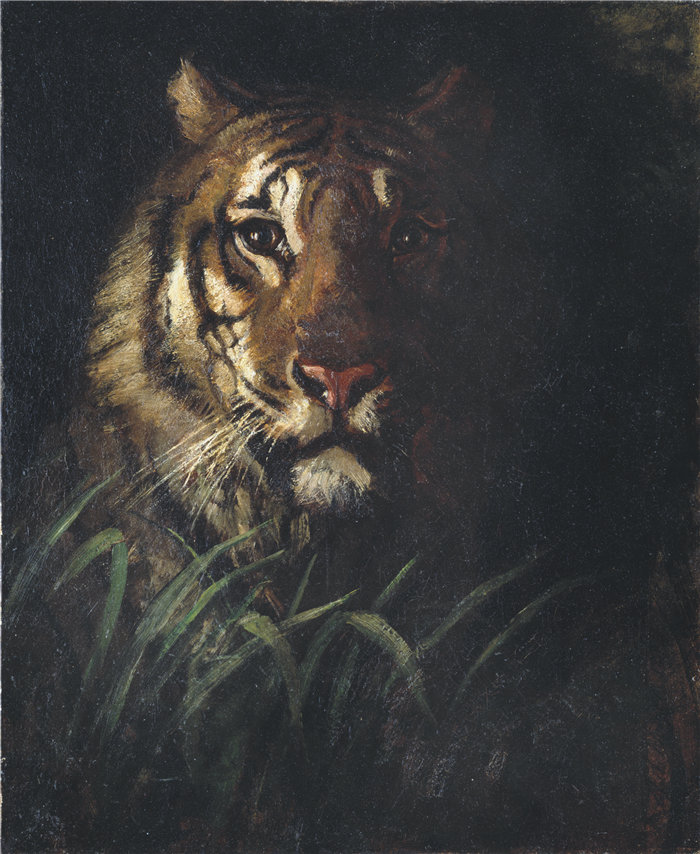 雅培·汉德森·塞耶 (Abbott Handerson Thayer)-虎头油画 美国