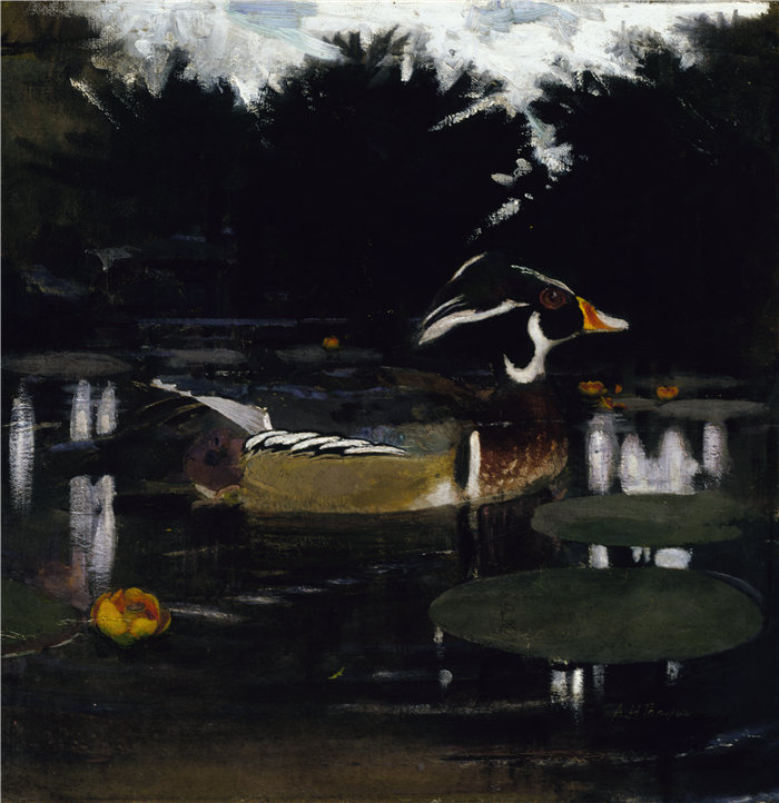 雅培·汉德森·塞耶 (Abbott Handerson Thayer)- 森林水池中的雄性木鸭油画 美国
