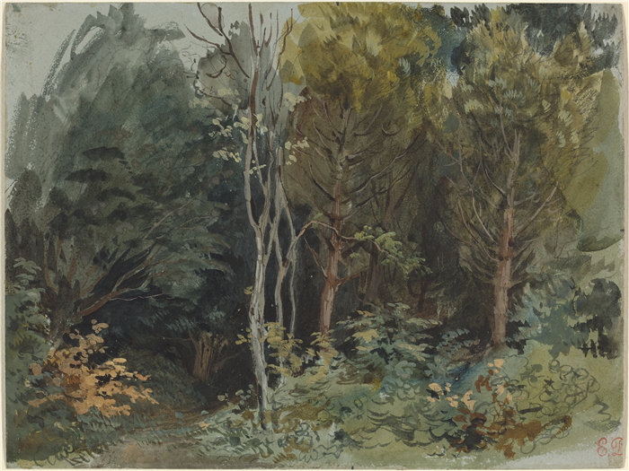 欧仁·德拉克鲁瓦（Eugene Delacroix，法国画家）作品 - Nohant 的树林边缘（约 1842-1843 年）