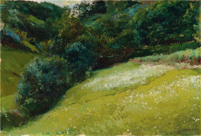 华金·索罗拉（Joaquin Sorolla，西班牙画家）作品-阿斯图里亚斯的田野，圣埃斯特万德普拉维亚（1903 年）