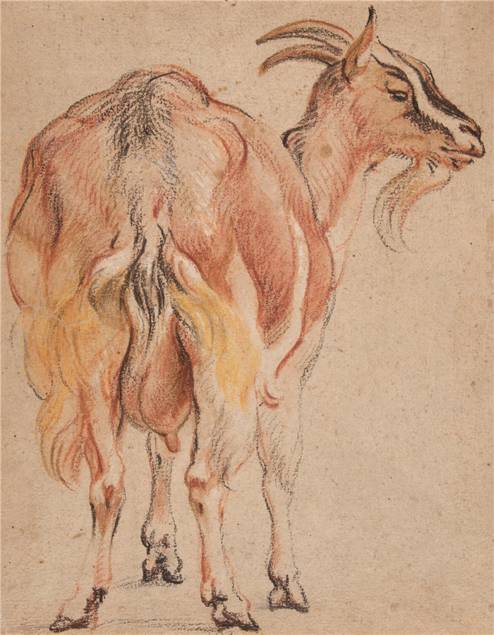 雅各布·乔丹斯（Jacob Jordaens，比利时画家）作品-山羊（约 1657 年）