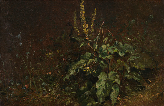 卡尔·斯皮茨韦格(Carl Spitzweg,德国画家)作品-多年生植物(毛蕊花和草)(1845-1850)