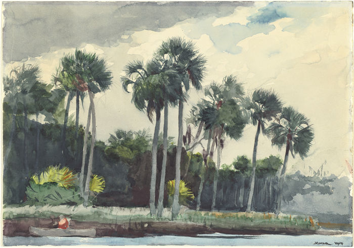 温斯洛·荷马 (Winslow Homer,美国画家)作品-Red Shirt,Homosassa,佛罗里达州(1904 年)