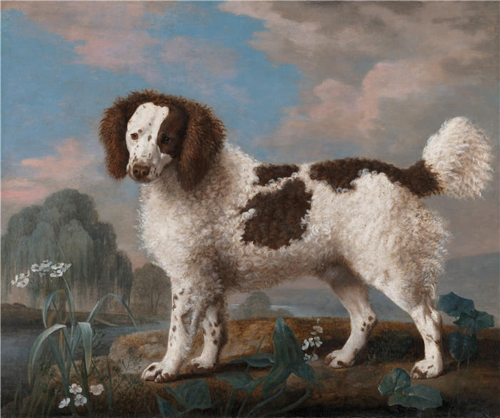 乔治·斯塔布斯（George Stubbs，英国画家）作品-棕色和白色诺福克犬或水猎犬 (1778)