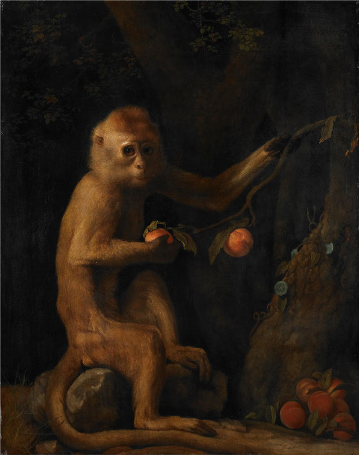 乔治·斯塔布斯（George Stubbs，英国画家）作品-一只猴子 (1799)