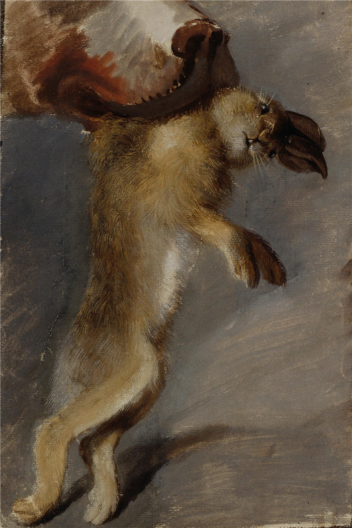 约翰·彼得·克拉夫特 (Johann Peter Krafft，奥地利画家) 作品-《兔子的研究 (1815)》高清下载