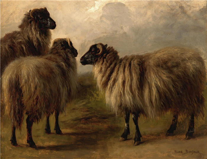 罗莎·博纳尔(rosa bonheur，法国画家)高清作品-《三只毛茸茸的绵羊》